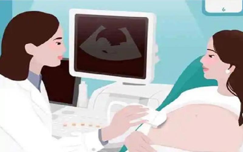 做试管家里养鸟代生